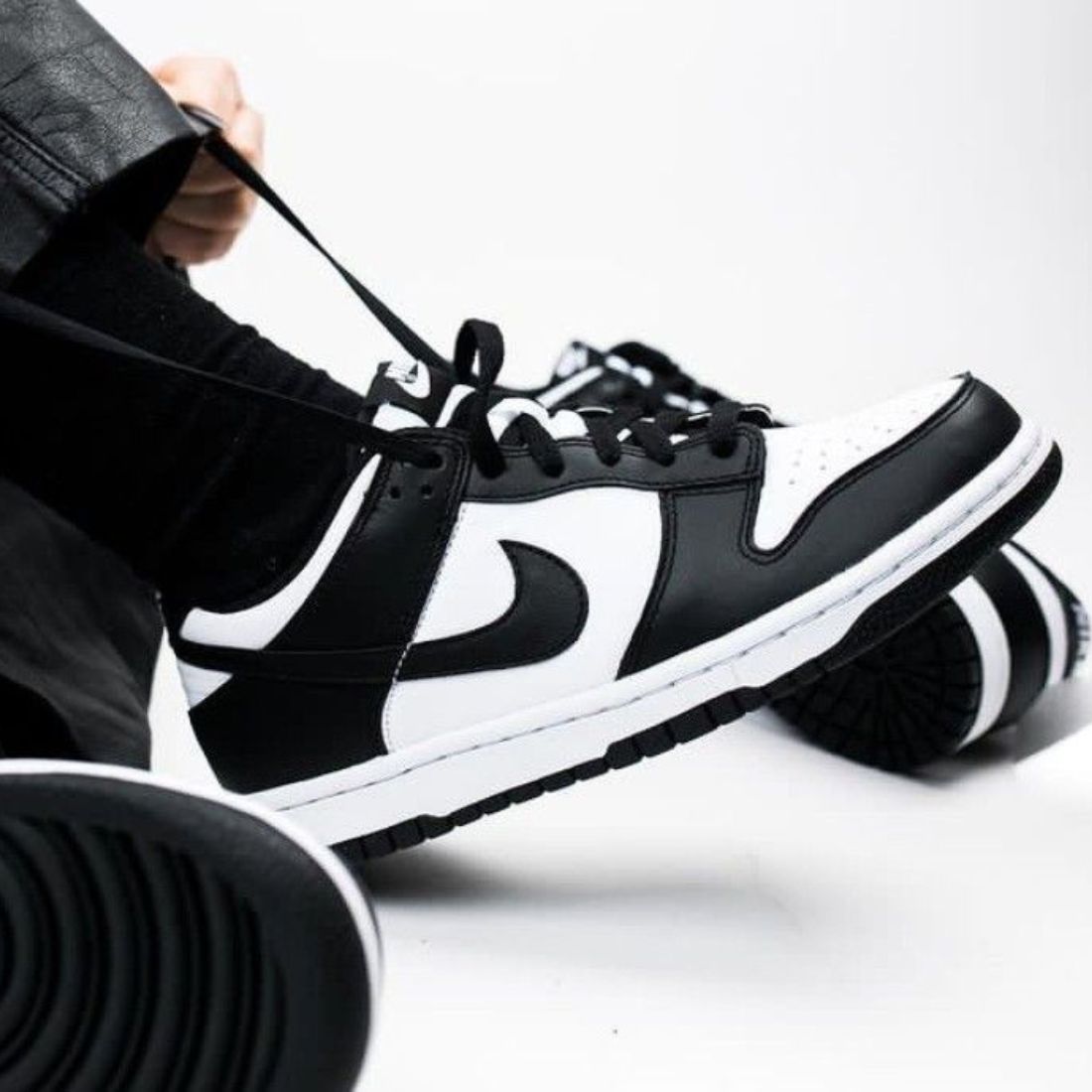 Tênis SB Dunk Low Clássico